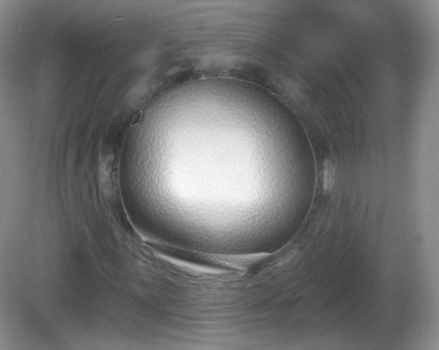 X0000082681059200702021221