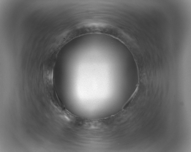 X0000082681061200702021221