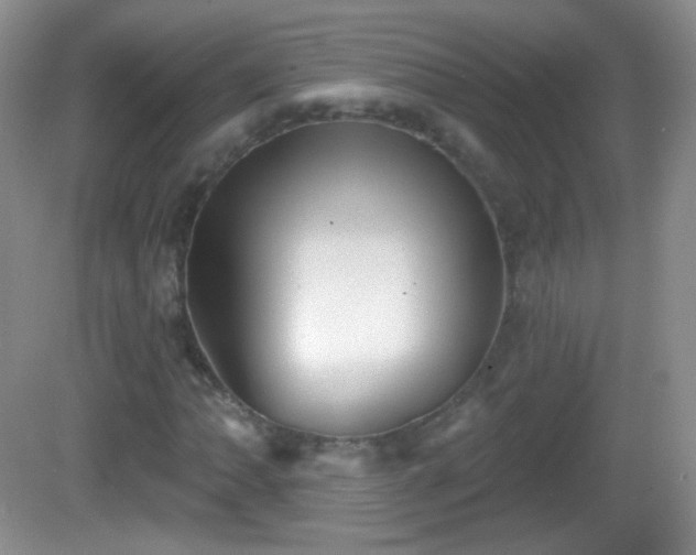 X0000082681062200702021221