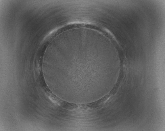 X0000082681064200702021221