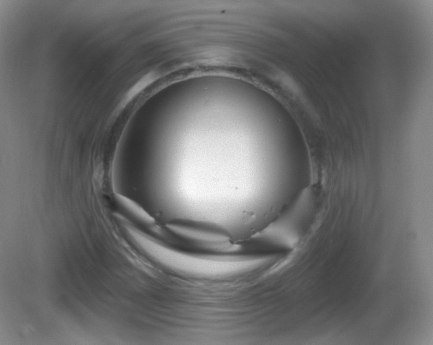 X0000082681065200702021221