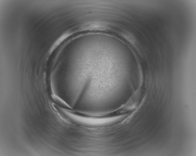 X0000082681066200702021221