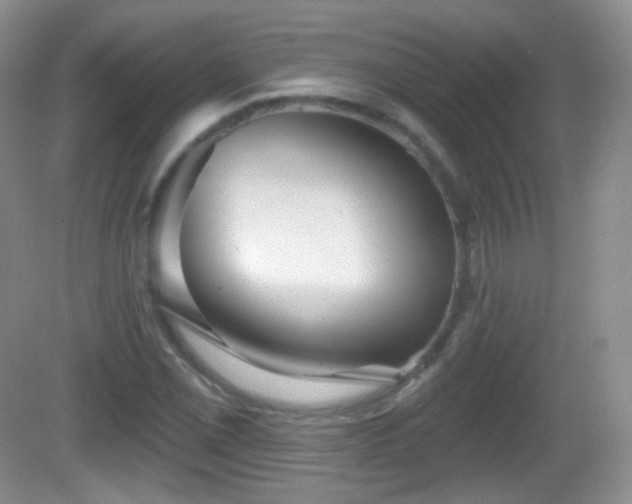 X0000082681069200702021220