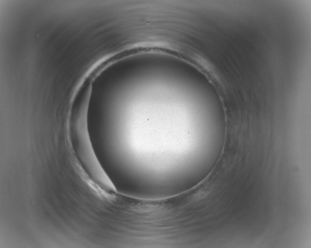 X0000082681076200702021220
