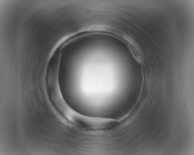 X0000082681085200702021220