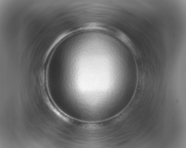 X0000082681092200702021220