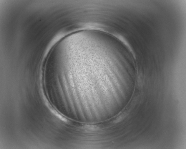 X0000082681096200702021220