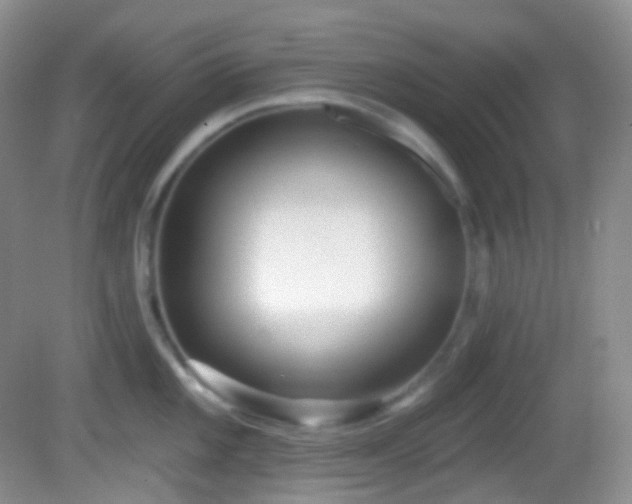 X0000082681101200702021220