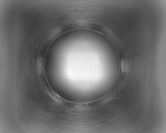 X0000082681107200702021219