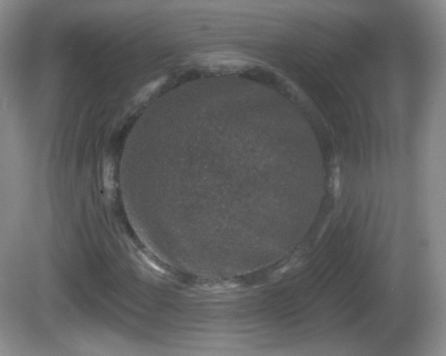 X0000082681108200702021219