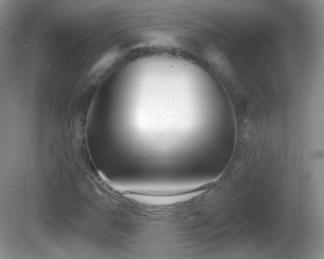 X0000082681110200702021219