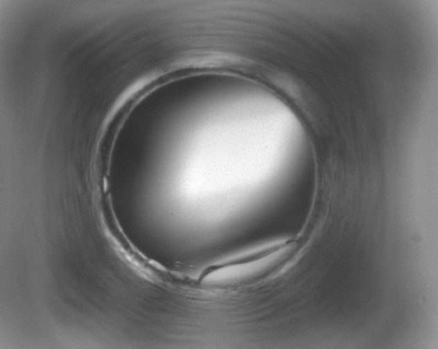 X0000082681122200702021219