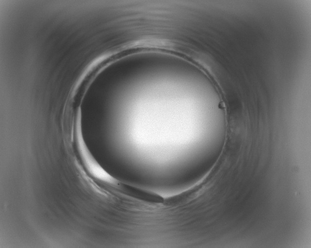 X0000082681123200702021219