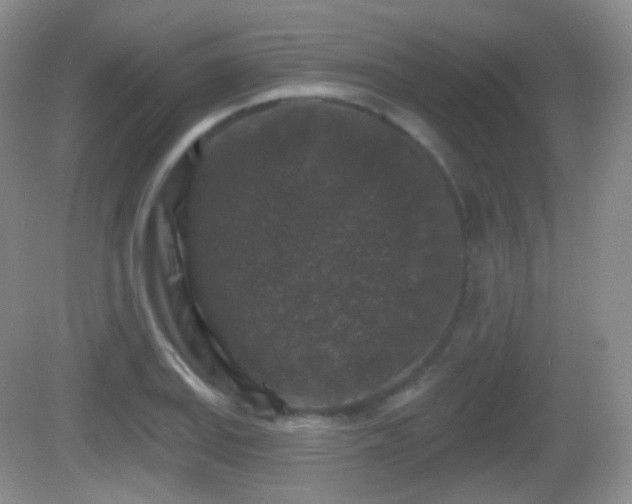 X0000082681127200702021219