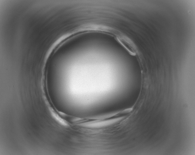 X0000082681136200702021220