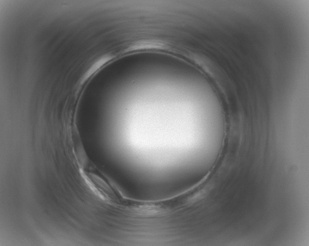 X0000082681137200702021220