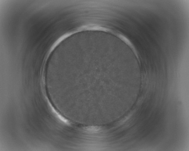 X0000082681141200702021220