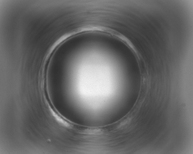 X0000082681143200702021220