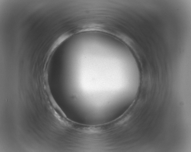 X0000082681145200702021220