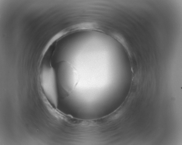 X0000082681146200702021220