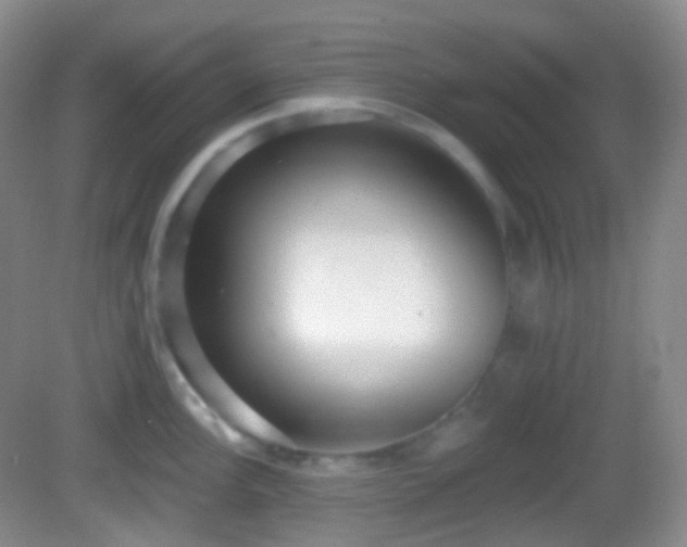 X0000082681148200702021220