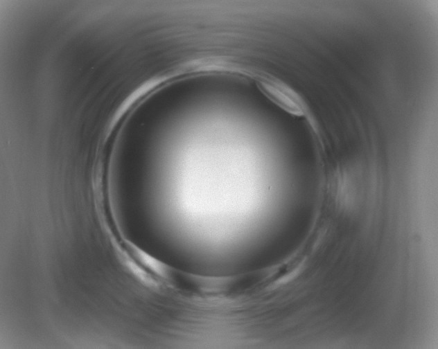 X0000082681149200702021220