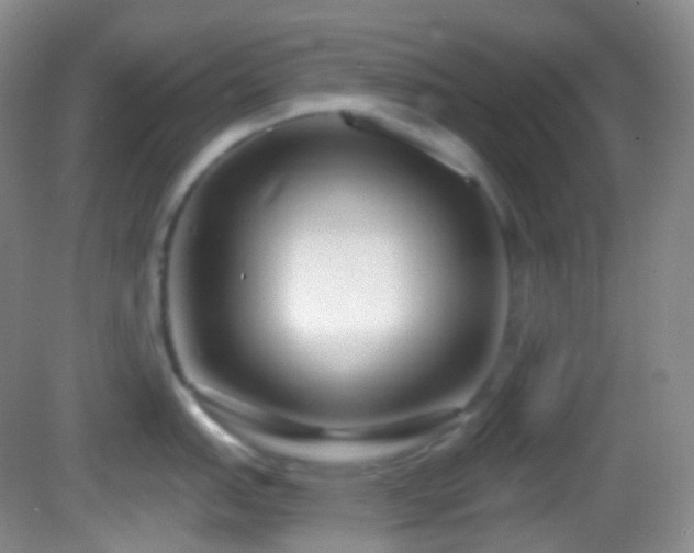 X0000082681151200702021220