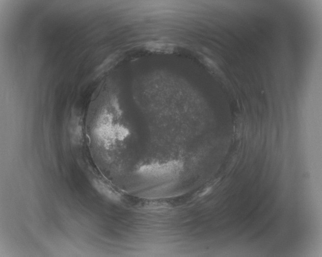 X0000082681154200702021219