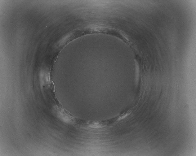 X0000082681155200702021219