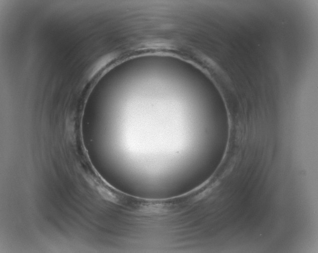 X0000082681162200702021219