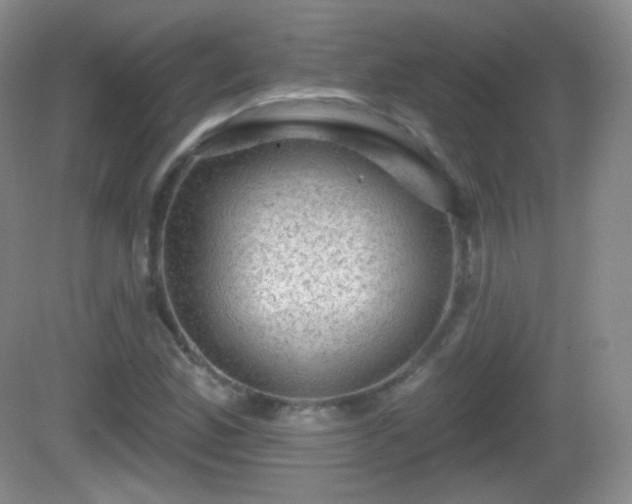 X0000082681165200702021219