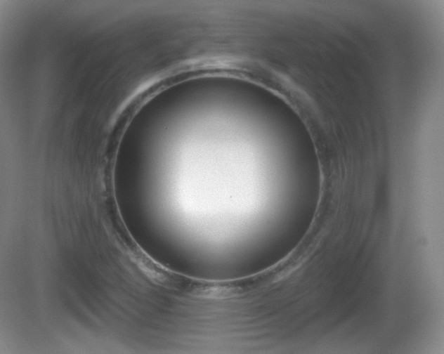 X0000082681166200702021219