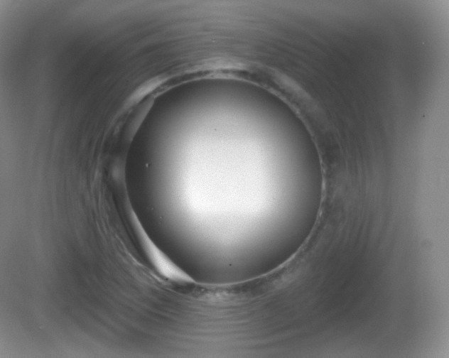 X0000082681169200702021219