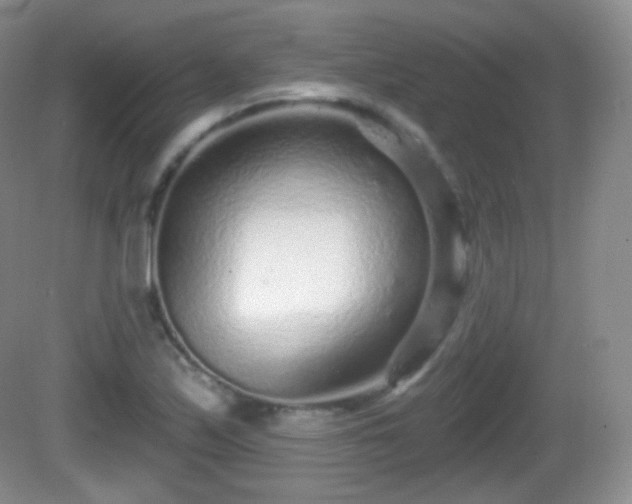 X0000082681171200702021219