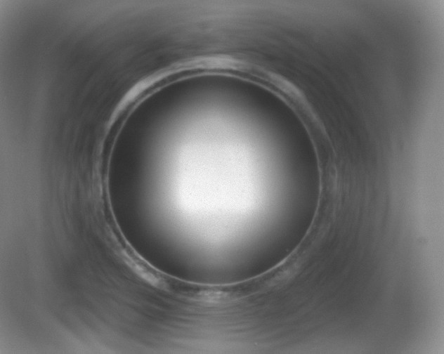 X0000082681176200702021219