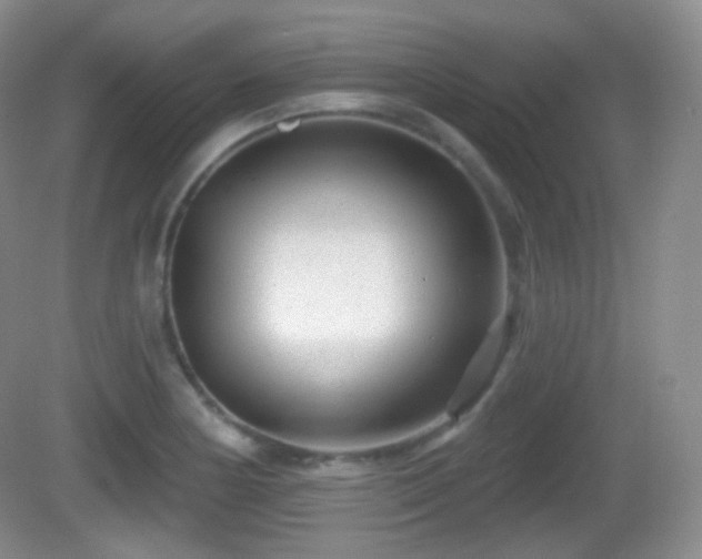 X0000082681178200702021219