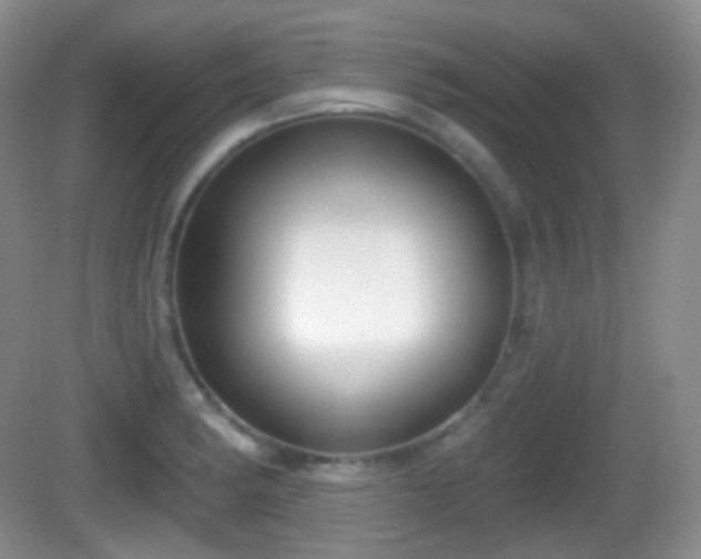X0000082681182200702021219