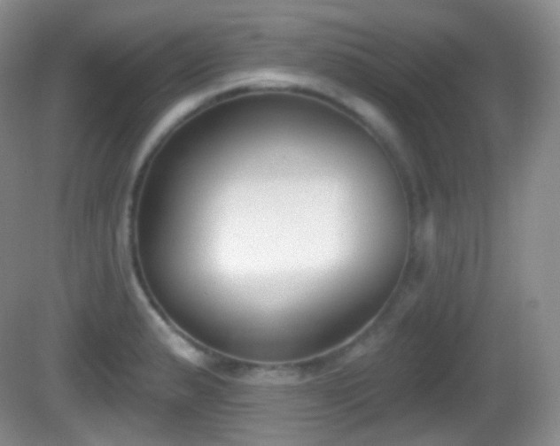 X0000082681183200702021219