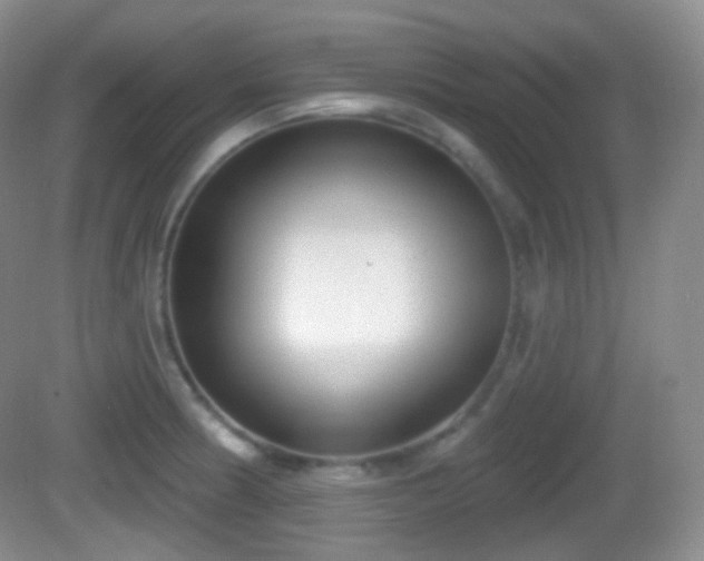 X0000082681186200702021219
