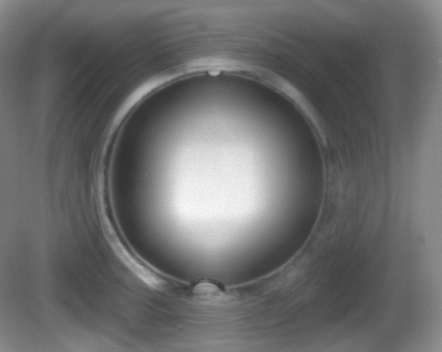 X0000082681187200702021219