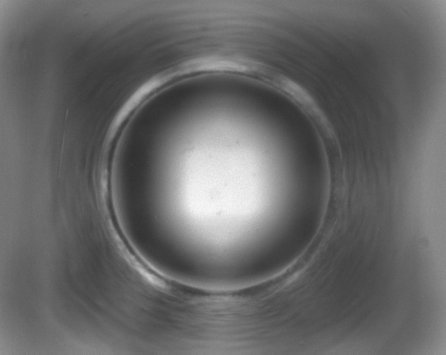 X0000082681188200702021218