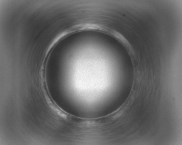 X0000082681190200702021218
