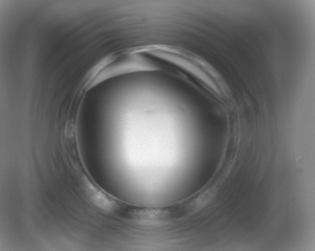 X0000082681193200702021218