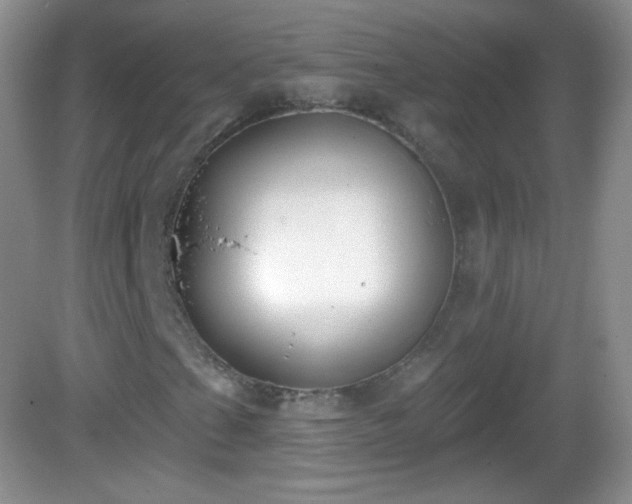 X0000082681201200702021217