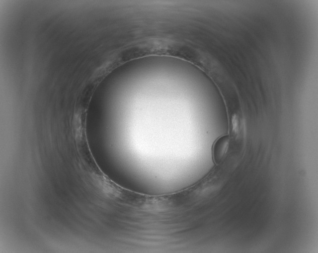 X0000082681203200702021218