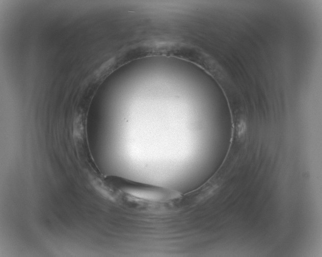 X0000082681204200702021218