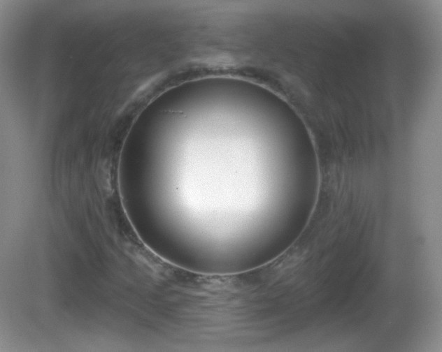 X0000082681205200702021218
