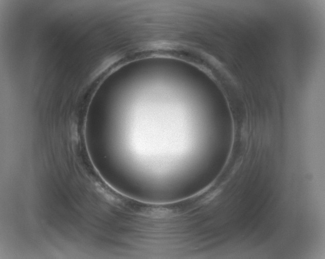 X0000082681209200702021218