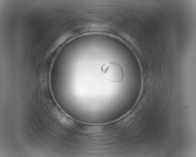 X0000082681211200702021218