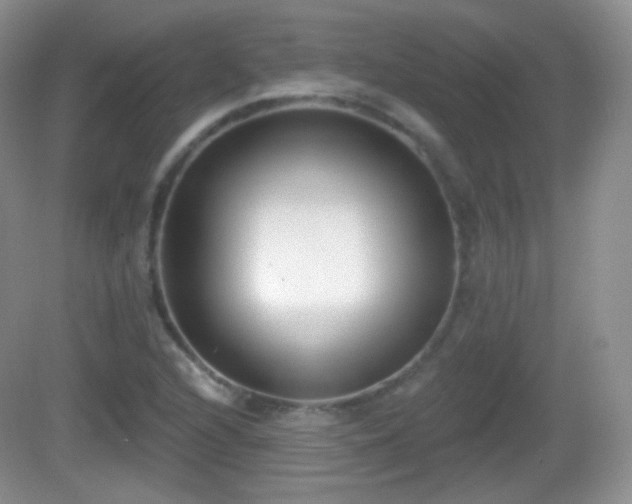 X0000082681216200702021218